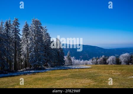 Deutschland, Weiße schneebedeckte Winterlandschaft und Tannenbäume im Schwarzwald am Berghang mit atemberaubendem Weitblick über den Mo Stockfoto