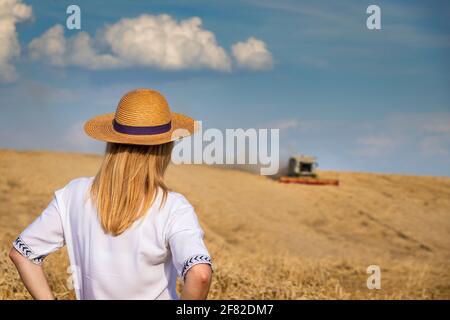 Landwirt auf dem Feld mit Blick auf die Ernte. Landarbeiter, der sich die Mähdrescher auf dem Feld ansieht. Agrarkonzept Stockfoto