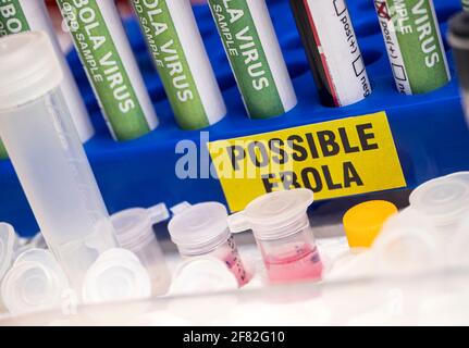 Blutprobe von Ebola-Patienten, positives Ergebnis, konzeptuelles Bild Stockfoto