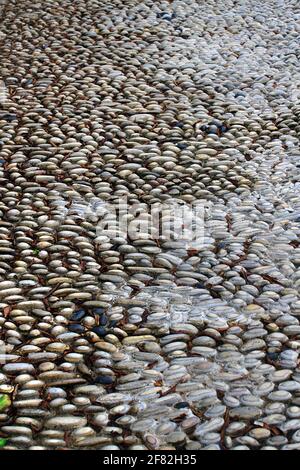 Eine Straße aus abgerundetem Kopfsteinpflaster mit Regenwasser. Stockfoto