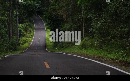 Die Asphaltstraße geradeaus in den Wald Stockfoto