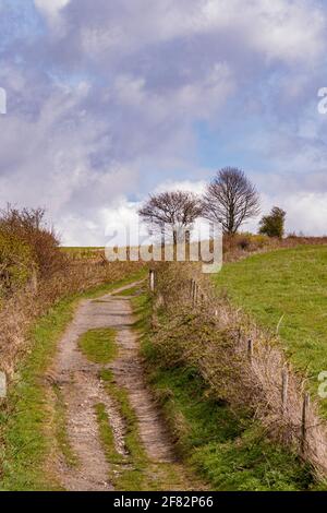 The Monarch's Way zwischen Findon und Steyning Bowl - South Downs National Park, West Sussex, Großbritannien. Stockfoto