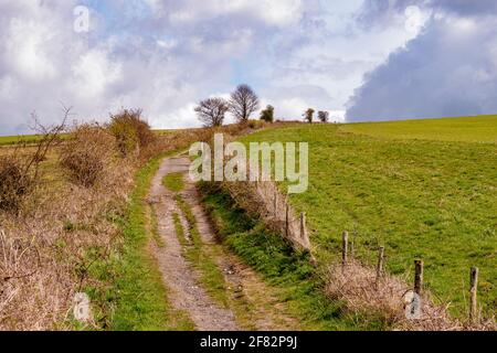 The Monarch's Way zwischen Findon und Steyning Bowl - South Downs National Park, West Sussex, Großbritannien. Stockfoto