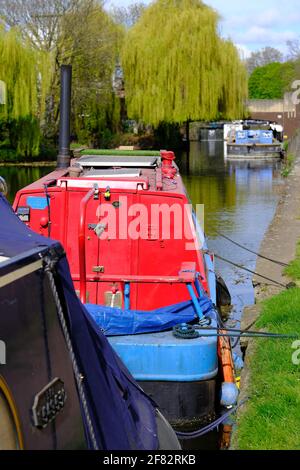 Rege't Canal by Victoria Park, Hackney, East London, London, Großbritannien Stockfoto