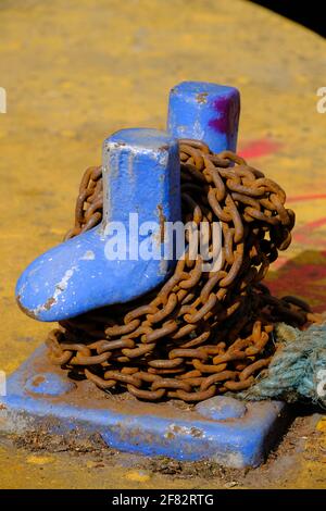 Rege't Canal by Victoria Park, Hackney, East London, London, Großbritannien Stockfoto