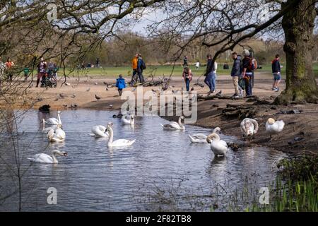 Hollow Ponds, Epping Forest, Laytonstone, London, Vereinigtes Königreich Stockfoto