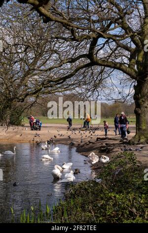 Hollow Ponds, Epping Forest, Laytonstone, London, Vereinigtes Königreich Stockfoto