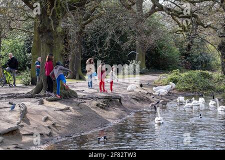 Hollow Ponds, Epping Forest, Laytonstone, London, Vereinigtes Königreich Stockfoto