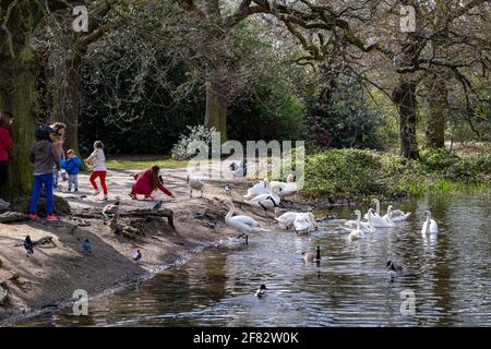 Hollow Ponds, Epping Forest, Laytonstone, London, Vereinigtes Königreich Stockfoto