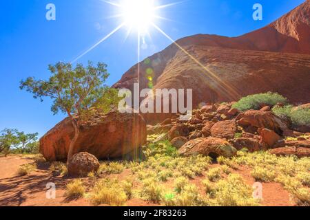 Sonnenstrahlen über Ayers Rock und Buschvegetation in der Trockenzeit Entlang des Lungkata Walk, der Kuniya Walk mit dem Mala-Parkplatz verbindet Uluru-Kata Tjuta National Stockfoto