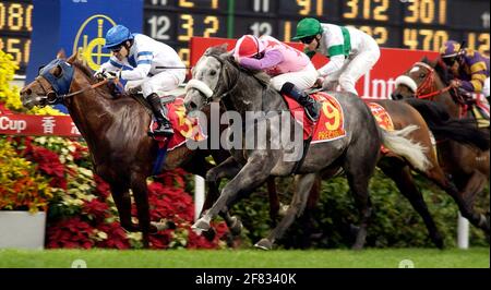 HONK KONG INTERNATIONALE RENNEN BEI SHA TIN 15/12/2002 THE HONG KONG CUP SIEGER PRÄZISION RIDEN VON MICHEAL KINANE AUS PAOLINI BILD DAVID ASHDOWNRACING Stockfoto