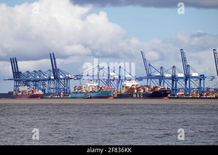 Die Containerschiffe MSC Geneva, Seago Piraeus und Navios Vermilion dockten im Hafen von Felixstowe, Suffolk, Großbritannien. Stockfoto