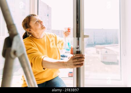 Frau Der Fünfzig In Gelbem Pullover Und Jeans Wäscht Dusty Fenster In Wohnung. Die 50-Jährige Frau Reinigt Fenster Mit Rag Und Spray Cleaner Von Flecken Stockfoto