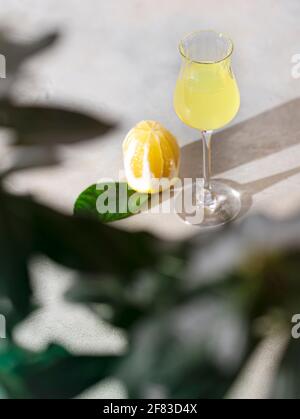 Limoncello, traditioneller italienischer Likör auf hellem Betongrund in den Strahlen der Sonne. Daneben ist eine gelbe Zitrone, frische Zitrusfrüchte. Auswahl Stockfoto