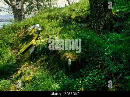 Ansicht SE of Liveras (Corry) Neolithisches Kammergrab, Isle of Skye, Schottland, Großbritannien, zeigt den verdrängten Kopfstein der zerstörten abgekapselten Kammer. Stockfoto