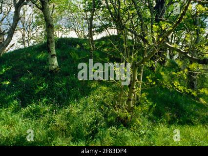 Gesamtansicht SE of Liveras (Corry) Neolithisches Kammergrab, Skye, Schottland, UK: Eine hebridische runde Kaimne mit einer gefüllten, korbierten Grabkammer. Stockfoto