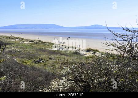 Cefin Sidan Sands, Pembrey Country Park, Pembrey, Burry Port, Carmarthenshire, Wales Stockfoto