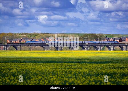 Das Sankey Valley Viadukt, das erste Eisenbahnviadukt der Welt. Trans Pennine Expresszug. Hitachi Class 800 Azuma in Richtung Westen. Stockfoto