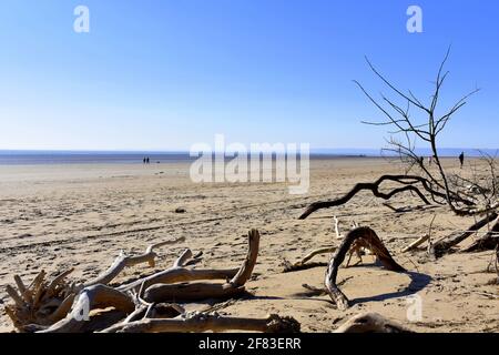 Cefin Sidan Sands, Pembrey Country Park, Pembrey, Burry Port, Carmarthenshire, Wales Stockfoto