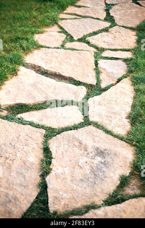 Der Steinwanderweg mit grünem Gras Hintergrund im Park. Stockfoto