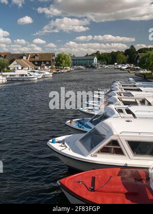 Wroxham auf dem Fluss Bure, mit ihm viele Boote, die als die Hauptstadt der Norfolk Broads, Wroxham, Norfolk, England, Stockfoto