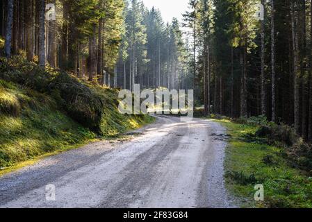 Verlassene, kurvenreiche unbefestigte Forststraße in den Europäischen Alpen an einem sonnigen Herbsttag. Comcept of Exploration. Stockfoto