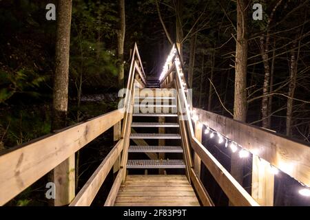 Treppe mitten im Wald bei Nacht mit Leuchtet Stockfoto