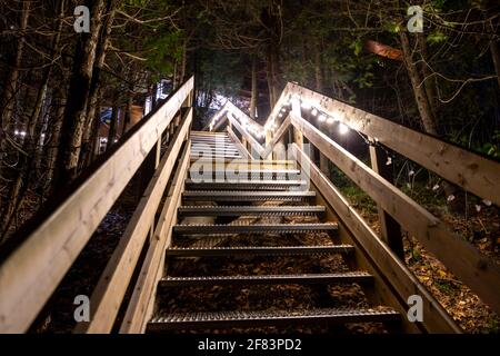 Treppe mitten im Wald bei Nacht mit Lichter am Zaun Stockfoto