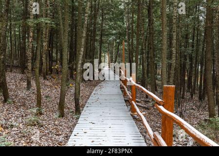 Holzweg im Wald mit einer frischen Schicht von Schnee oben mit dunklem Licht Stockfoto