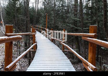 Holzweg im Wald mit einer frischen Schicht von Schnee oben Stockfoto