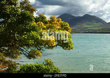 Old Head Bay und Croagh Patrick Mountain in Clew Bay Auf dem Wild Atlantic Way in Mayo in Irland Stockfoto