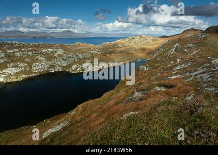 Blick von der Schafsphalbinsel auf die Beara Halbinsel auf dem Wild Atlantic Way in West Cork in Irland Stockfoto