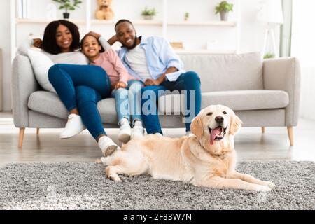 Glückliche schwarze Familie, die im Wohnzimmer mit Hund sitzt Stockfoto