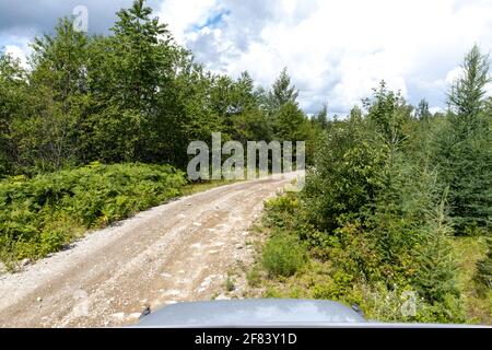 Silbernes Auto auf einer unbefestigten Straße im Sommer auf einem wolkiger Tag Stockfoto