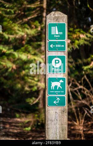 Wegweiser auf Holzpfosten vor Bäumen. Mehrere kleine Plakate mit Wegbeschreibungen, Entfernungen und Informationen im Park oder Wald. Parken, Sightseeing Stockfoto