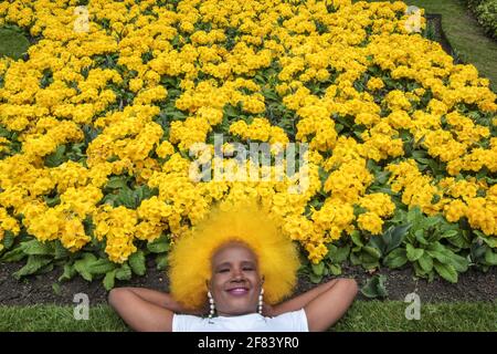 London UK 11 April 2021 EIN schöner Frühlingstag in London mit gelben Narzissen in voller Blüte in den Parks @Paul Quezada-Neiman/Alamy Live News Stockfoto