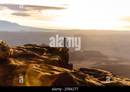 sonnenaufgang in den amerikanischen roten Canyons im Sommer mit einem Blick auf einen Vogel, der in den Felsen sitzt Stockfoto