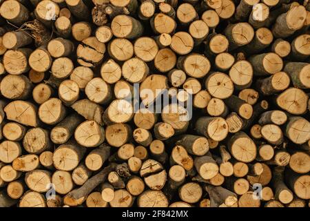 Details mit Holzstruktur. Stapel Brennholz. Stapel von Holzstämmen für den Winter gelagert. Mauer aus Holz. Natürlicher Hintergrund aus Holz. Lagerung von trockenem, gehacktem Brennholz Stockfoto