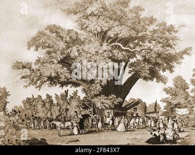 Ein historisches Bild mit der ehemaligen Fairlop Fair und der Fairlop Oak, Hainault Forest, Essex, Großbritannien. Entstanden durch den Erfinder des Brauereihandels Daniel Day, der 1683 in der Pfarrei St. Mary Overy geboren wurde und in Wapping, London, als Motor-, Pumpen- und Blockmacher arbeitete. Später wurde sie reich und besaß ein kleines Landgut im Bezirk. Jeden ersten Freitag im Juli reiste Day nach Hainault, um Mieten zu sammeln und ein Fest für Mieter, Freunde und Besucher unter den sich ausbreitenden Zweigen der massiven Fairlop-Eiche zu bieten. Speck und Säcke mit Bohnen wurden auch unter dem Baum verteilt. Stockfoto