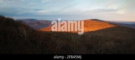 Ein Morgenpanorama vom North Mount Marshall während eines Wintersonnenaufgangs im Shenandoah National Park. Stockfoto