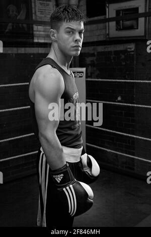 Porträt eines jungen Boxers im Boxclub. Stockfoto