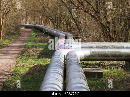 Potsdam, Deutschland. April 2021. Dicke, graue Fernwärmerohre liegen zwischen der Autobahn Nuthe und der Autobahn Nuthe am Rande eines Weges im Wald. Quelle: Soeren Stache/dpa-Zentralbild/ZB/dpa/Alamy Live News Stockfoto