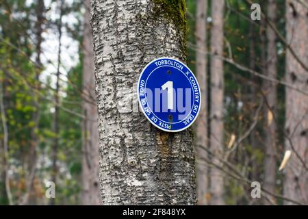 Wanderzeichen auf dem Torbolton Cross Country Ski Trail in Ontario, Kanada im Frühjahr - rundes blaues Schild für Trail Nummer 1 Stockfoto