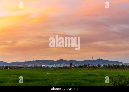 Sonnenuntergang auf dem Berg Collserola in Barcelona. Vom Llobregat-Delta. Wir sehen die Silhouette der Kommunikationsantenne und des Tibidabo Stockfoto