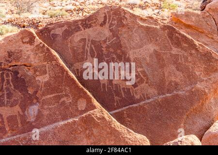 6000 Jahre alte Steinschnitzereien auf Felsen in Twyfelfontein, Namibia, die den Standort von Tieren während der Planung von Jagdexpeditionen darstellen. Stockfoto