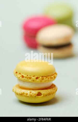 Konditorei Luxemburgerli, Macaron, Spezialität der Confiserie Spruengli Stockfoto