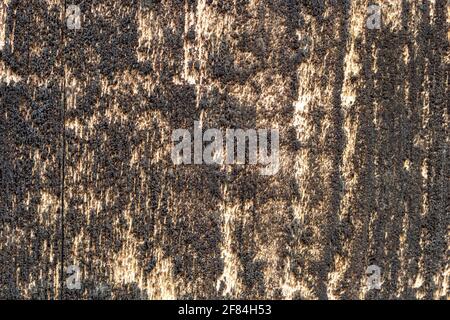 Holzstruktur. Dunkler Plank-Tisch mit leerem Raum Stockfoto