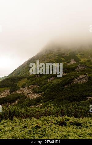 Karpaten im Sommer Nebel, das Gebiet in der Nähe des Brebeneskul-Sees, Regen und Nebel in den Bergen.2020 Stockfoto