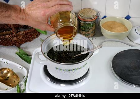 Herstellung von Ribwortsirup (Plantago lanceolata), Sirup, Kochtopf, Topf, Honig Stockfoto