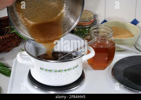 Herstellung von Ribwortsirup (Plantago lanceolata), Sirup, Kochtopf Stockfoto